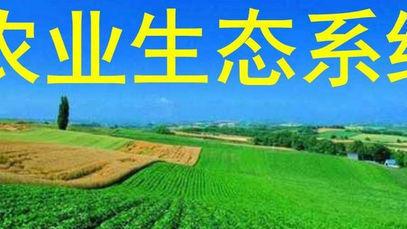 生鲜配送承包合同范本：规范合作，保障生鲜配送质量