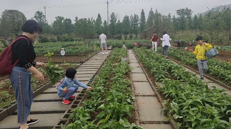 上海果蔬配送公司报价明细：揭秘背后的行业逻辑