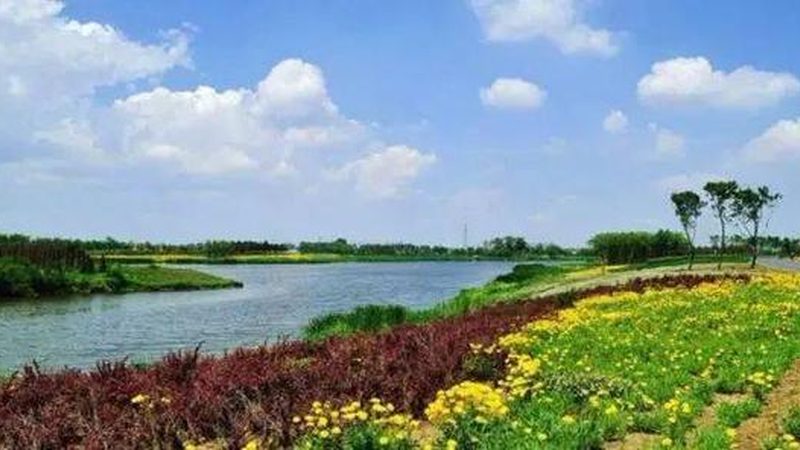 成都家庭农场种植技术设备升级之路