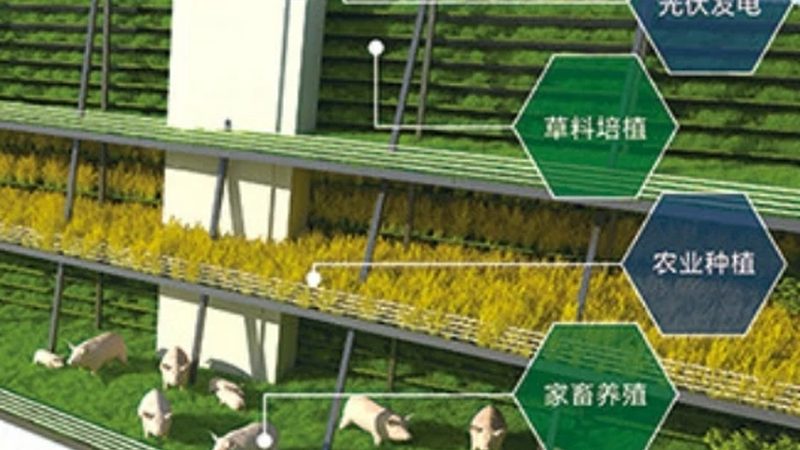 食堂食材配送加盟，先看清这五个硬门槛