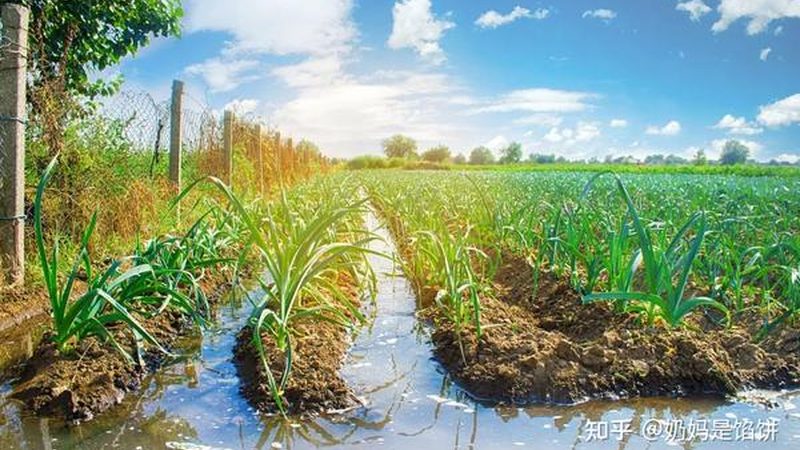 农民专业合作社注册失败，背后原因分析