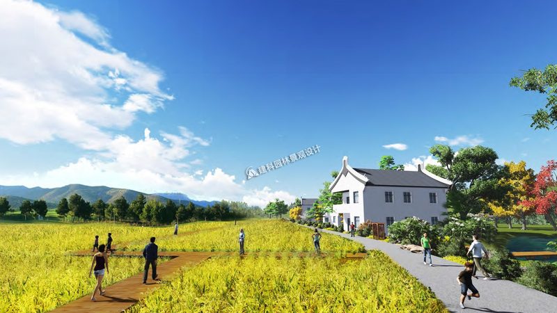 水果种植合作社电商渠道年收入