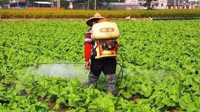 餐饮配送农产品费用：如何合理控制成本**